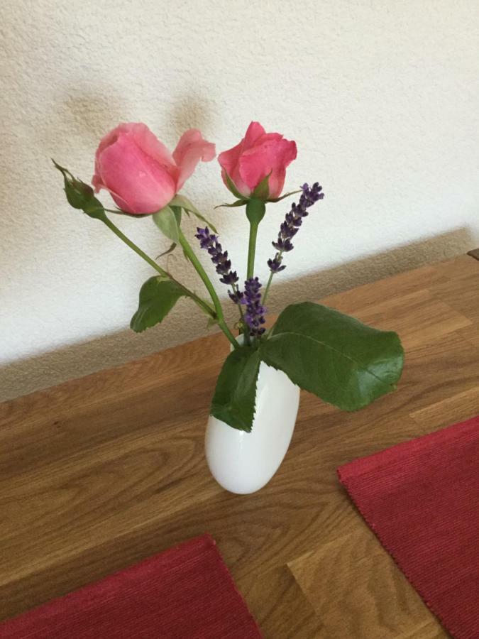 Ferienwohnung Bei Heike & Dirk Kassel Esterno foto